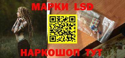индика Можга