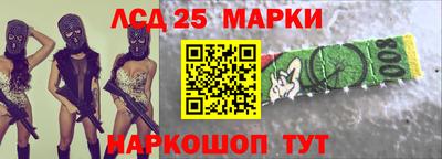 индика Можга
