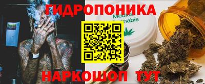 jwh Моздок
