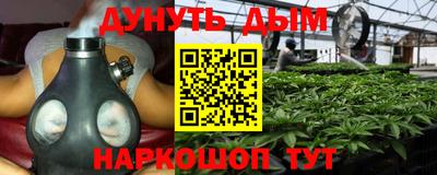 индика Можга