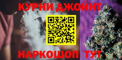 индика Можга
