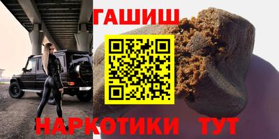 индика Можга