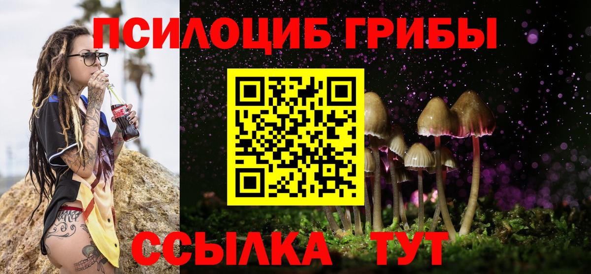 Галлюциногенные грибы Cubensis  Вход с VPN  Углич  Галлюциногенные грибы мицелий 