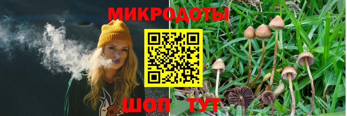 Псилоцибиновые грибы GOLDEN TEACHER Углич